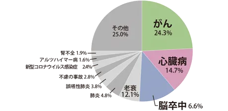 円グラフ:日本人の死因